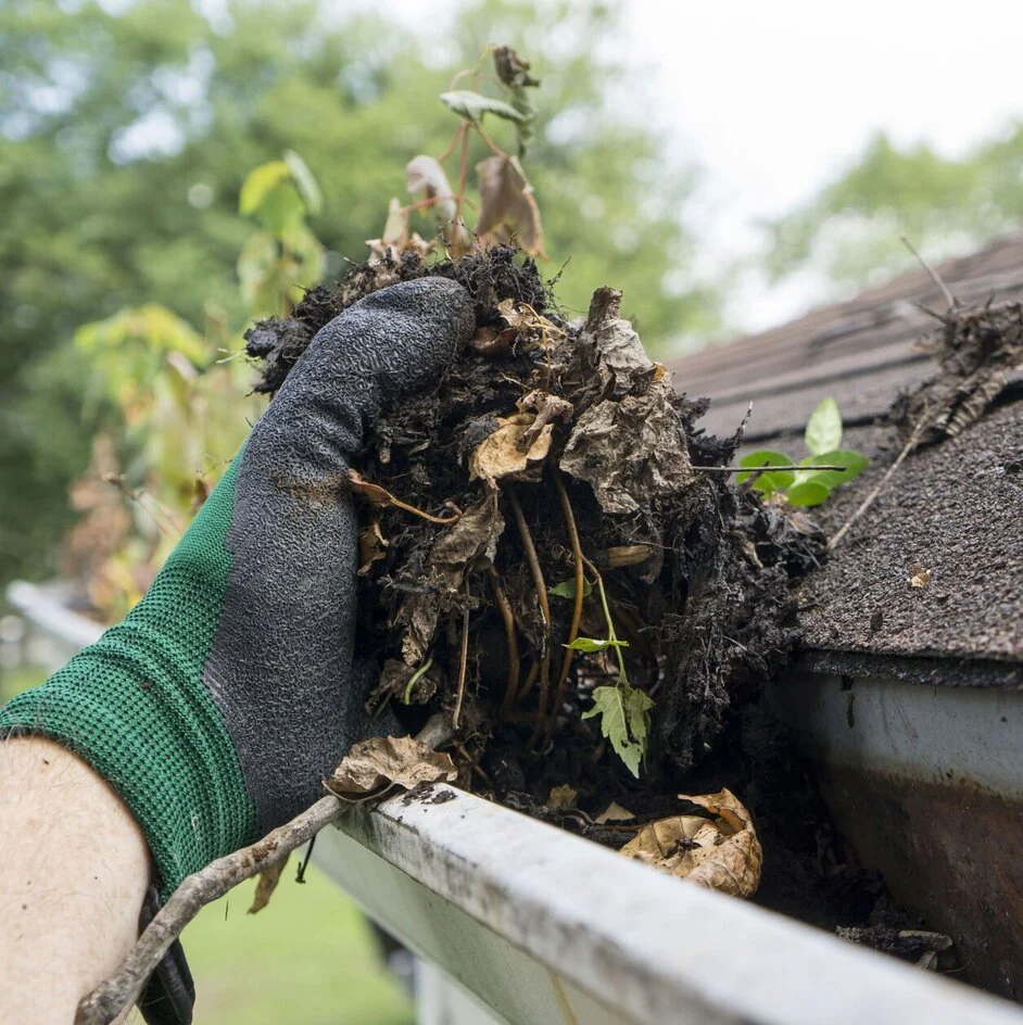 Gutter cleaning service removing debris and ensuring clear water flow
