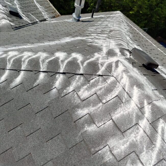 Roof moss treatment applied after cleaning to prevent regrowth on shingles