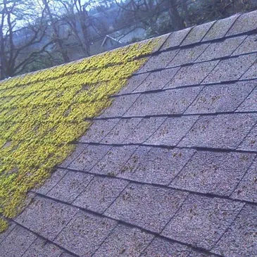 Before and after roof cleaning showing moss removal from shingles in Port Townsend home
