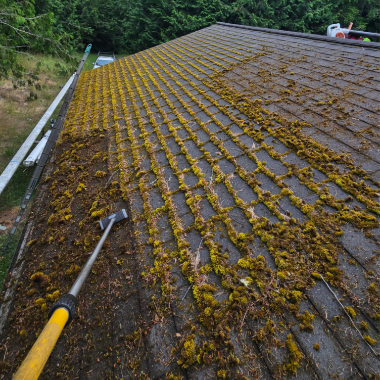 Why Roof Cleaning Is Important for Homeowners in the Olympic Peninsula