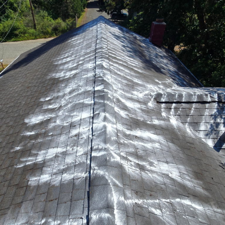 What Is the Best Treatment for Roof Moss in Northwest Washington?