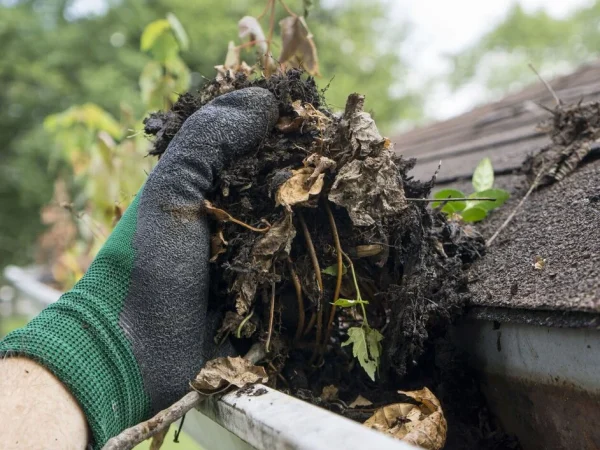 Gutter cleaning technician removing debris from residential gutters